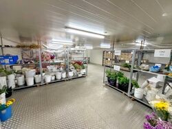 Proxima@Gambas (D27), Factory #602659961
